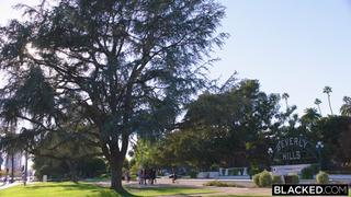 🏝Paradise_xxx🏝 - 🏝️Hardcore Heaven  🎥https://t.co/XzEHkbsrly 🎬Beverly Hills Dreams  ❤️...