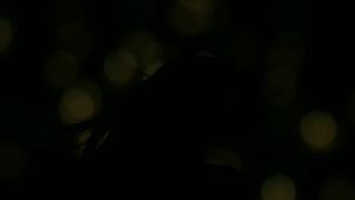 🏝Paradise_xxx🏝 - 🏝️Girl On Girl  🎥https://t.co/Cfd4nGdRFc 🎬Mean To Be  ❤️Alyssa Reece ...