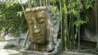 🏝Paradise_xxx🏝 - 🏝️Nuru Fantasies  🎥https://t.co/908Sq8YRHX 🎬Meditation Massage  ❤️Bra...