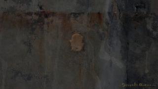 🏝Paradise_xxx🏝 - 🏝️Hard Pleasures  🎥https://t.co/ax4PHNfHGY 🎬Blow On Sybian  ❤️Carter ...