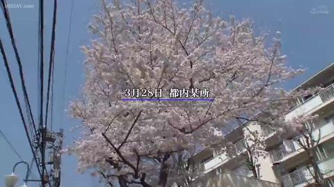 NTR的美好瞬间 - 每天要叫两个男人起床,要做两份早餐,洗两个男人的衣服,互相之间的做爱和亲热要避开,这也是三人之间的约定。此片记录了一个—妻两夫的奇怪家庭的...