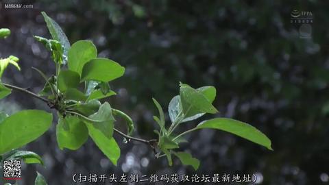 NTR的美好瞬间 - 妻子被好友睡了四天三夜,越是禁忌,越是快乐翻倍!朋友妻,千万别客气!在老实人眼皮底下干朋友妻,那种快乐你经历过吗?#绿帽 #淫妻 #换妻 ...