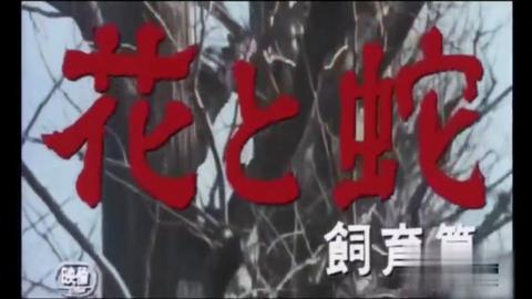 NTR的美好瞬间 - 花与蛇 饲育篇 年代:1986 主演:小川美那子  远山隆义拒绝了昔日伙伴田代的合作请求，导致田代的公司破产。田代将仇恨转向远山的老婆静子...