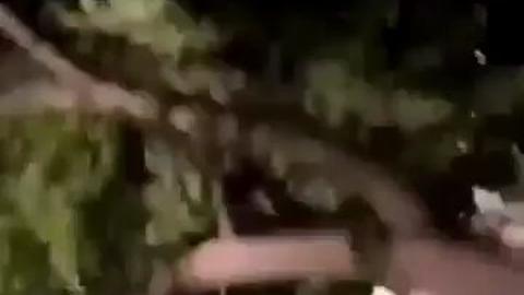 Aportes Ibague - https://t.co/XZQKrphNEP