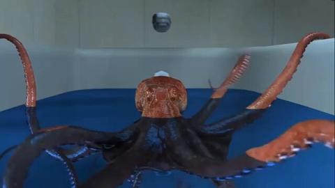 Yaoi - Octopus by DerekSFM Part 1  #gayanimation #gayanime #yaoicum #Animega...