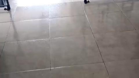💦🔞Placer 365 Days 💦🔞 - Me cogí a la sirvienta de la casa porque le ofrecí plata para coger  ...